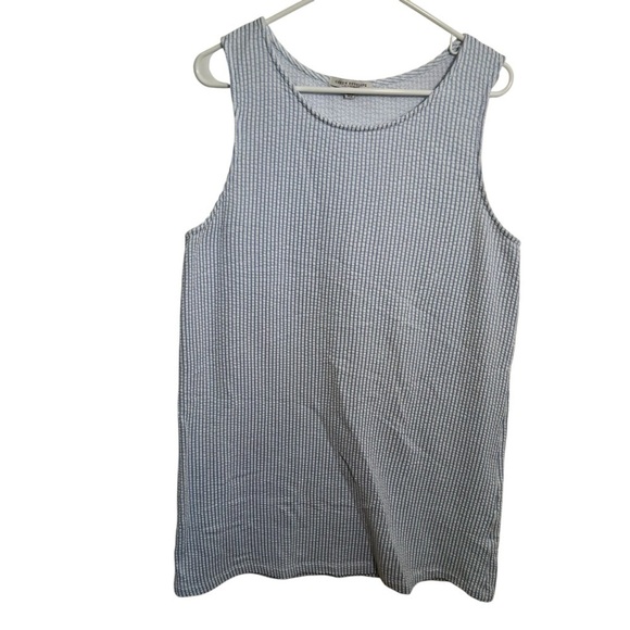 Green Envelope Sleeveless Shift Dress Blue White Seersucker XL - Picture 1 of 8